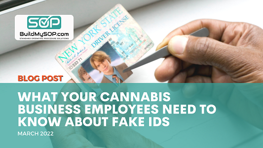What Your Cannabis Business Employees Need to Know About Fake IDs
